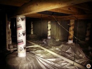 Radon_Co_basement-logo